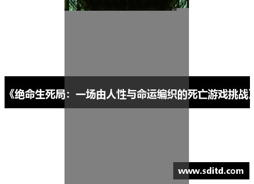 《绝命生死局：一场由人性与命运编织的死亡游戏挑战》