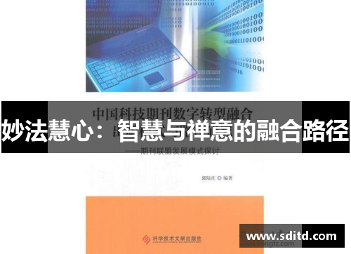 妙法慧心：智慧与禅意的融合路径